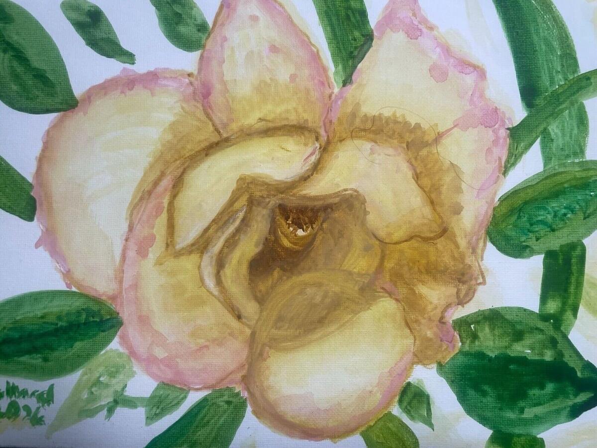 Watercolor of a cream-colored rose with blush pink petal edges surrounded by green leaves, by Barbara Ballard