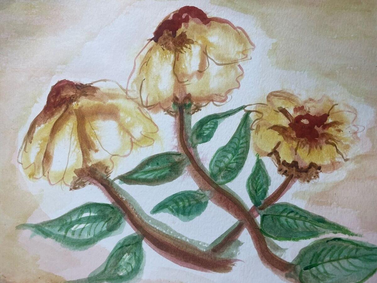 Watercolor of three cream and yellow blossoms with rust-red centers on crossing brown stems with green leaves, by Barbara Ballard