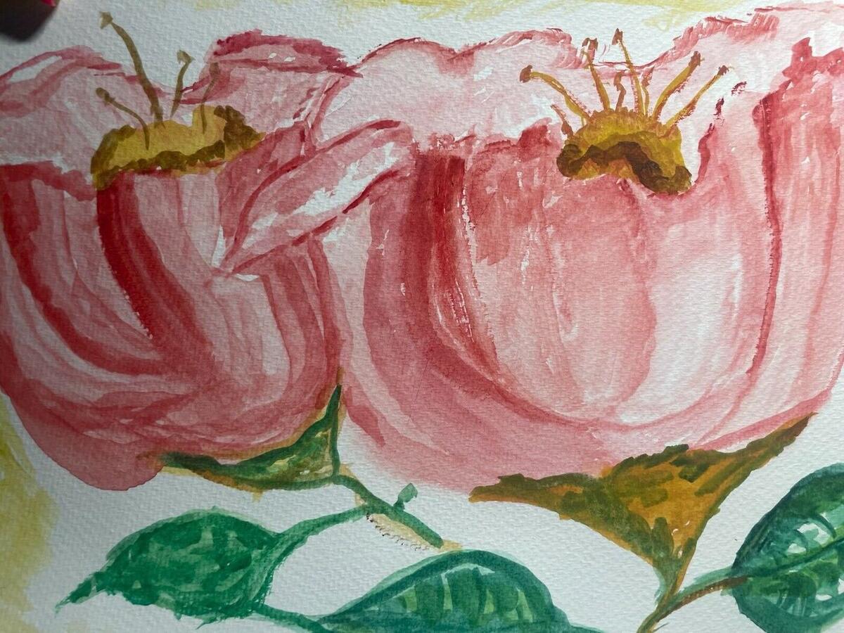 Watercolor of two large pink roses with golden centers and stamens above green leaves, by Barbara Ballard