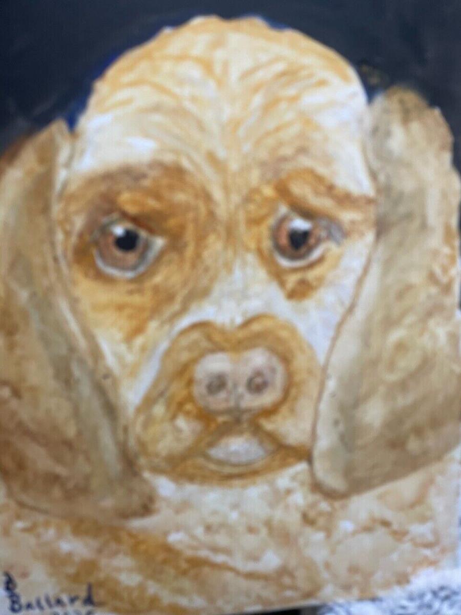 Watercolor portrait of a curly golden puppy with brown eyes and long floppy ears, signed Ballard, by Barbara Ballard