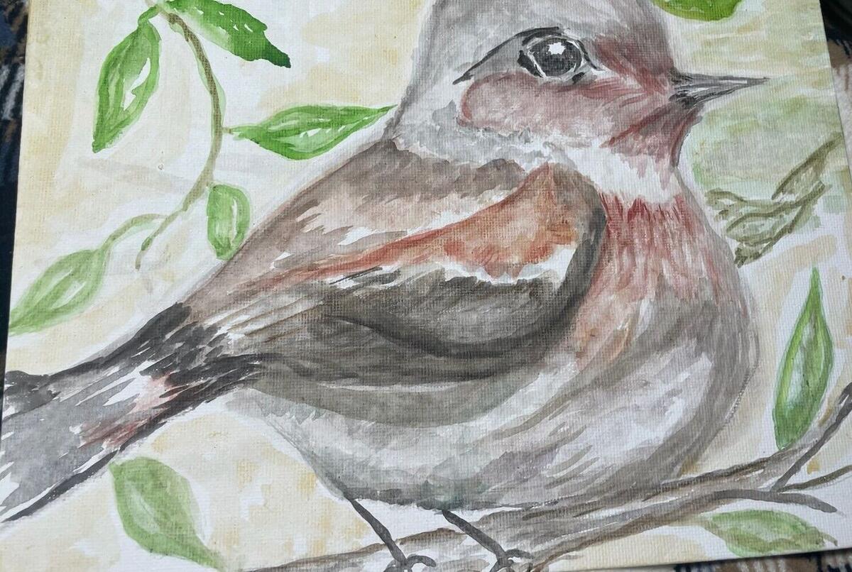Watercolor of a grey songbird with a rose-colored breast perched on a branch among green leaves, by Barbara Ballard