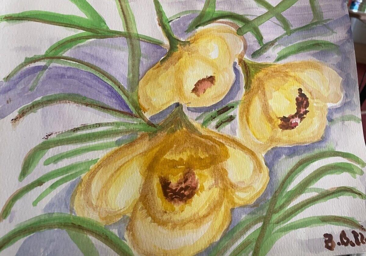 Watercolor of three golden yellow blossoms with brown centers among long green grass blades on a lavender background, signed by the artist, by Barbara Ballard